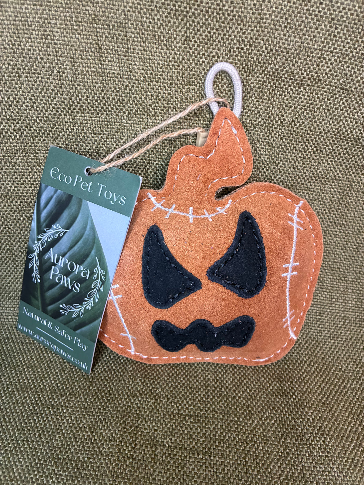 Small Pumpkin Aurora Paws Eco Dog Toy