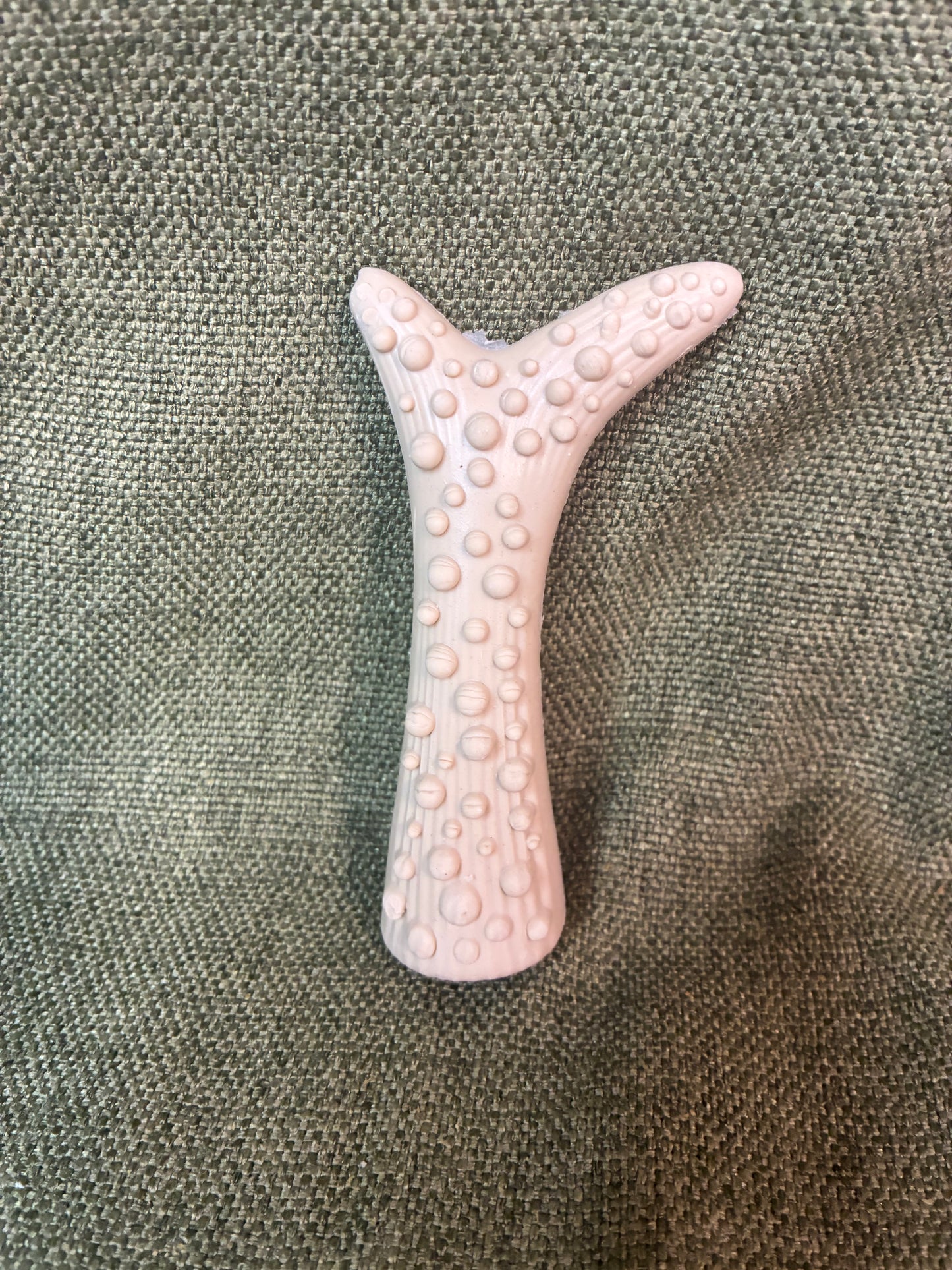 Small Peanut Butter Antler